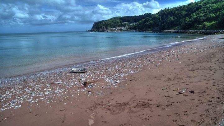 مبيت وإفطار Crowndale Torquay - Exclusively For Adults المظهر الخارجي الصورة